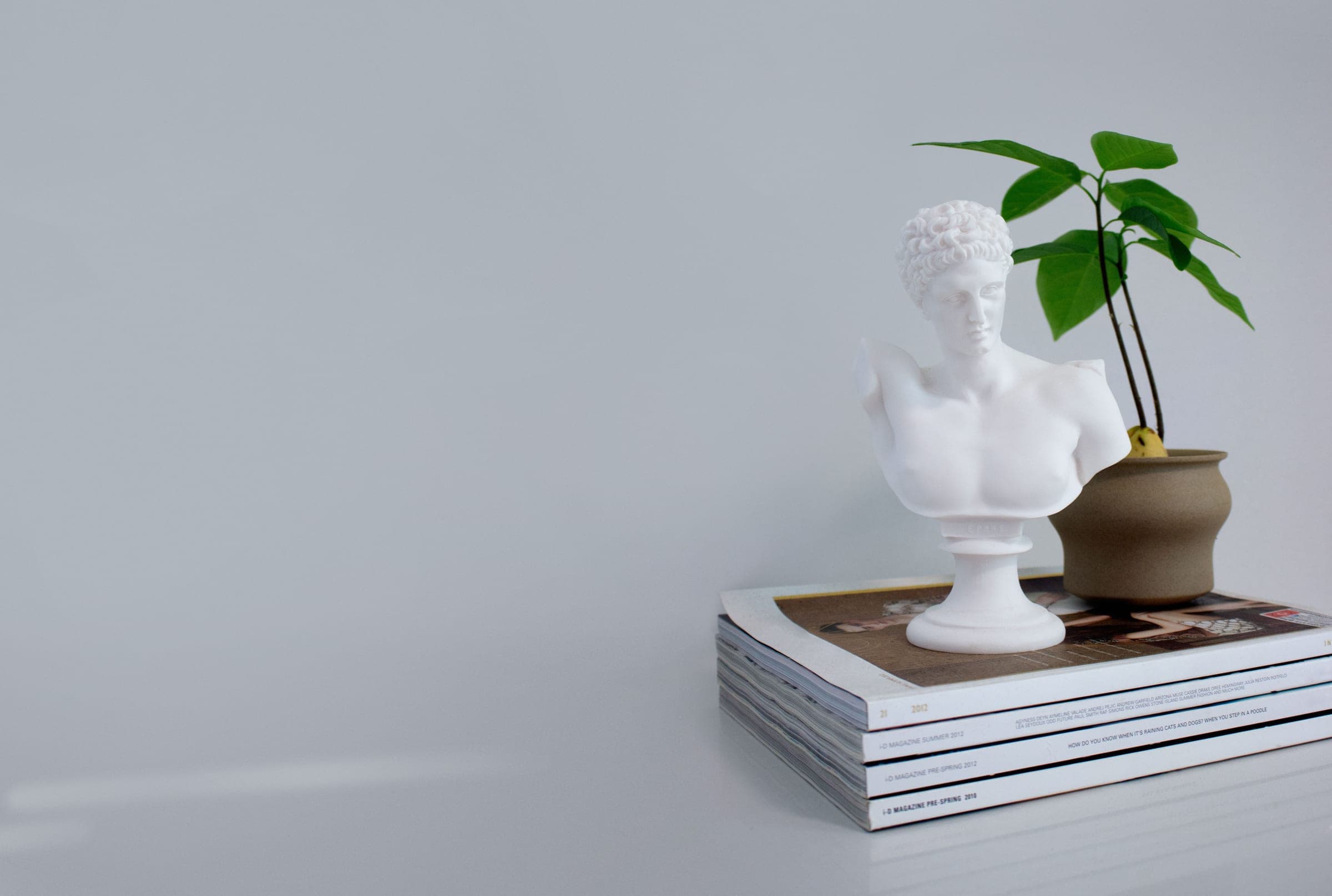 A marble bust, a young plant and a stack of magazines on the studio desk